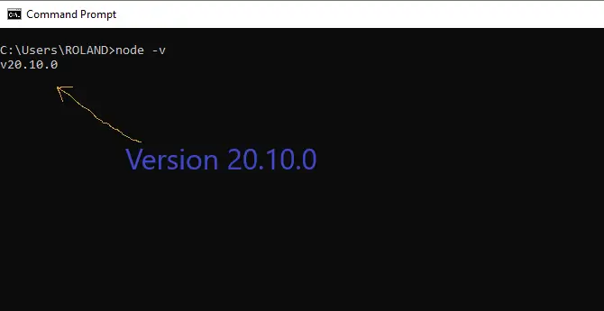 An Image showing how to check the node version installed on your computer.