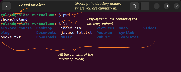 Linux file system commands - ls